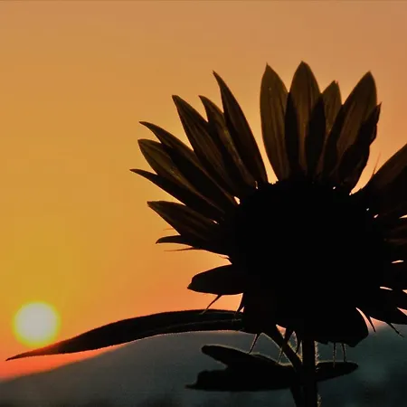 公寓式酒店 Mediterranean 4*