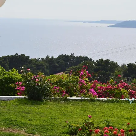 Mediterranean لاسي